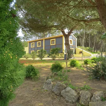 Village Ii