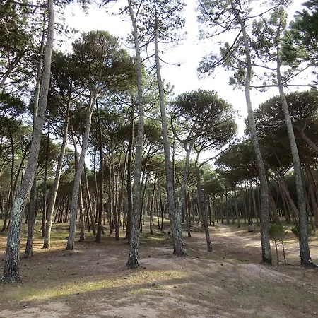 빌라 Village Ii *